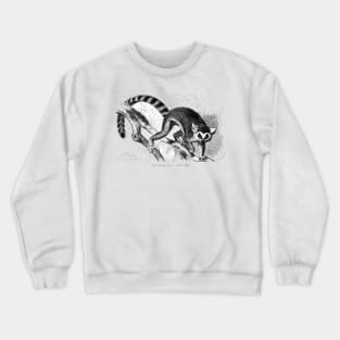 Lemur catta by Gustav Ludwig Heinrich Mützel Crewneck Sweatshirt